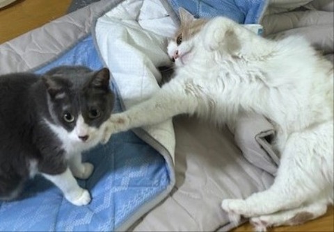 thumbnail_IMG_4200 (1)