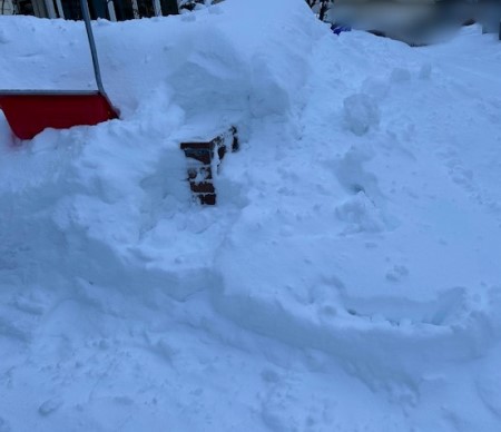 thumbnail_IMG_3750 (1)