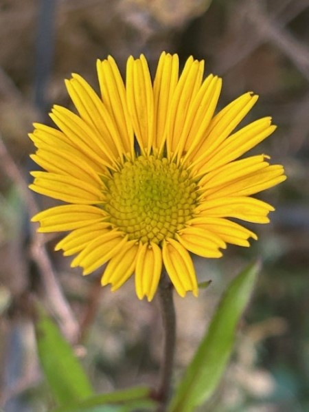 thumbnail_IMG_8481 (2)