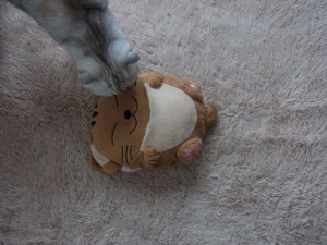 「猫だらけ」