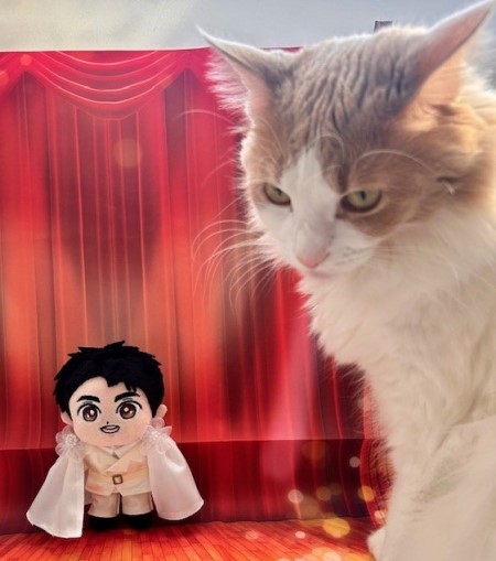 こひろみくん（郷ひろみさんのぬいぐるみ）の服作り⑥ : 猫だらけ