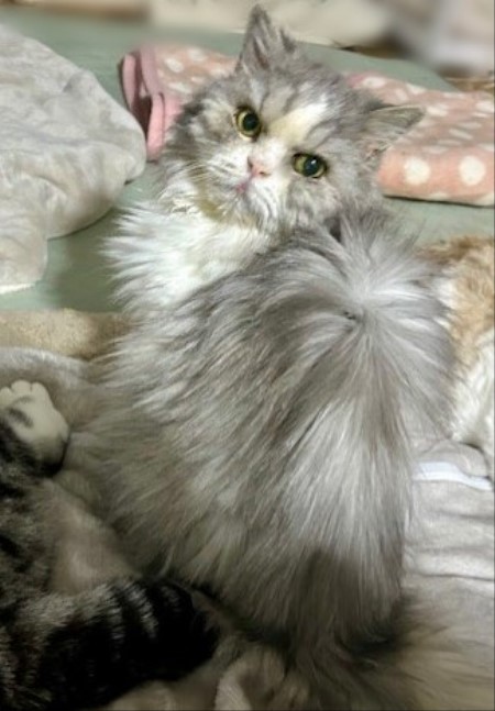 1927a40b-ff66-447c-ae80-aa5ff16bb0dd