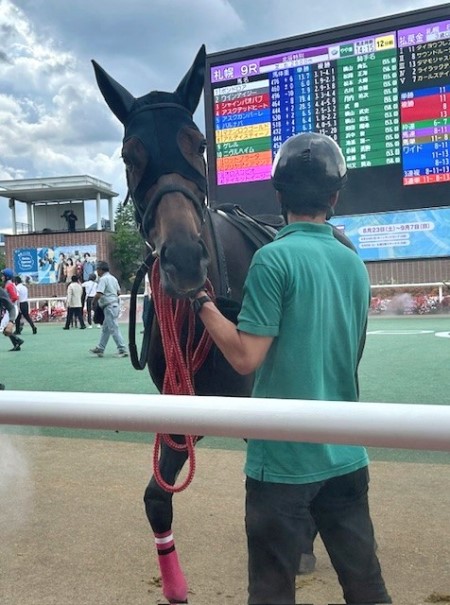 thumbnail_IMG_1686 (1)