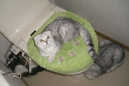 20070311152846