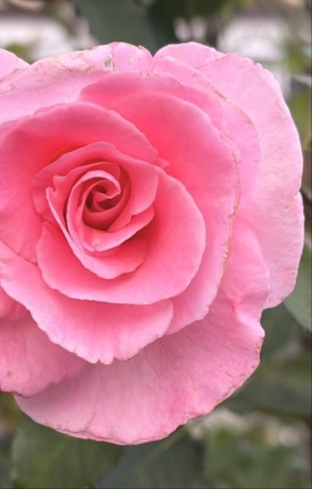 ab636627-f41e-4bd2-bc93-2527974cdb3d