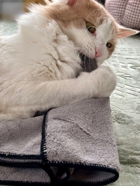 thumbnail_IMG_4866 (1)