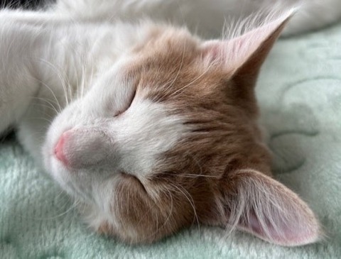 thumbnail_IMG_5299 (1)