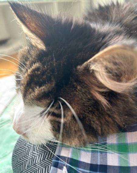 thumbnail_IMG_5313 (1)