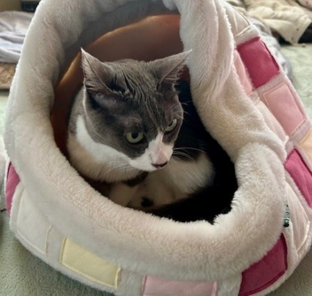 thumbnail_IMG_4748 (2)