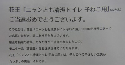「猫だらけ」