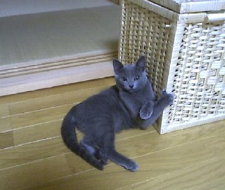 photo260