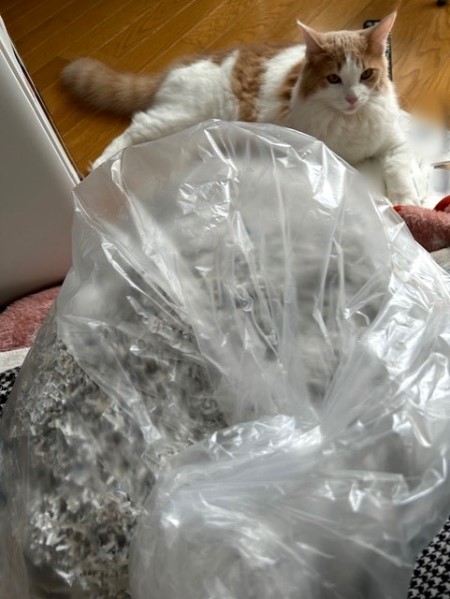 thumbnail_IMG_6368 (1)