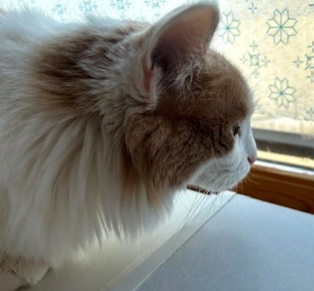 a53a6b0c-bfa7-4d30-823f-f7a8c1039d73