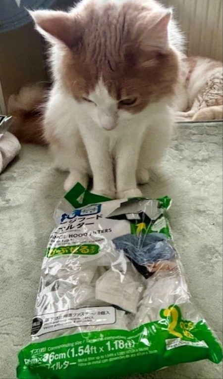 thumbnail_IMG_5660 (1)