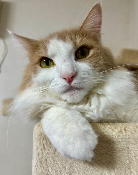 e80471b7-cde9-414f-8ee1-304fe919c7b2