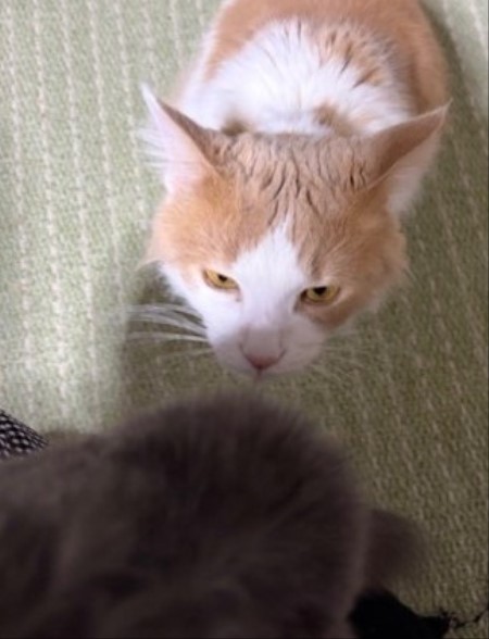 1a01d8ad-0a51-4e61-81fb-a112c8cf8de9