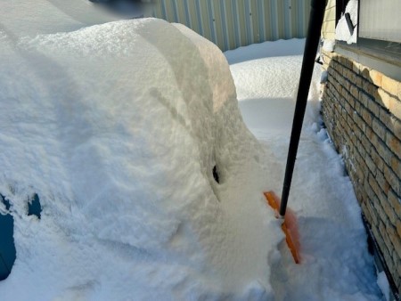 52e92d3e-d729-429e-989a-a27133f386e3