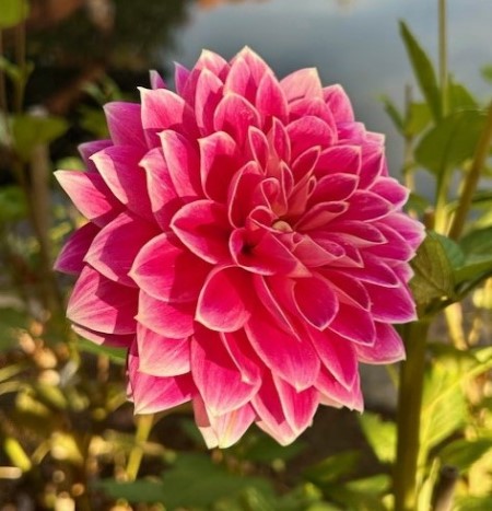 thumbnail_IMG_4054 (1)