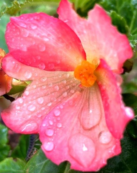 thumbnail_IMG_3520