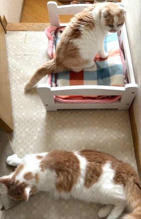 thumbnail_IMG_6182 (1)