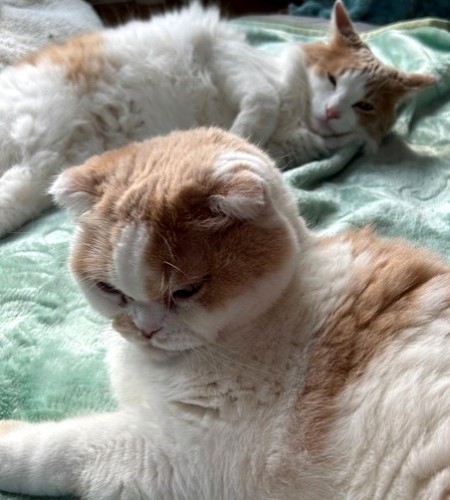 thumbnail_IMG_7808 (2)