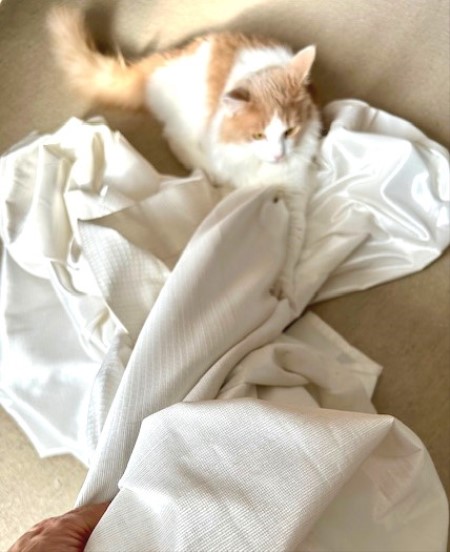 thumbnail_IMG_4397 (1)