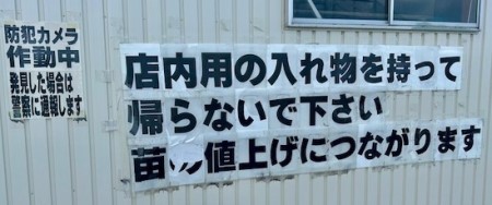 thumbnail_IMG_4196 (1)