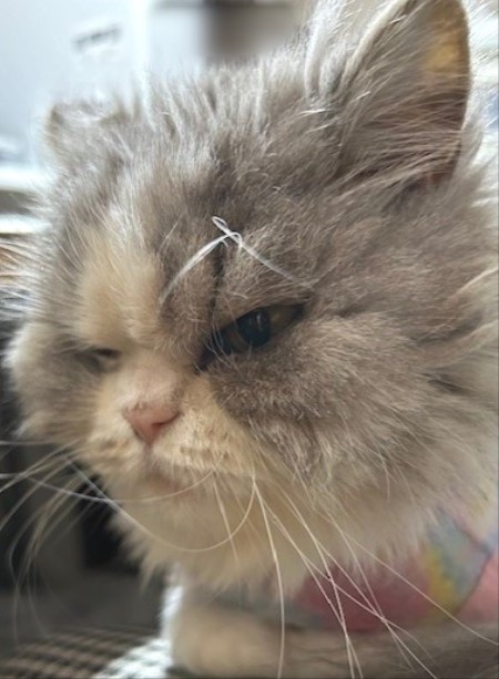 thumbnail_IMG_8420 (1)