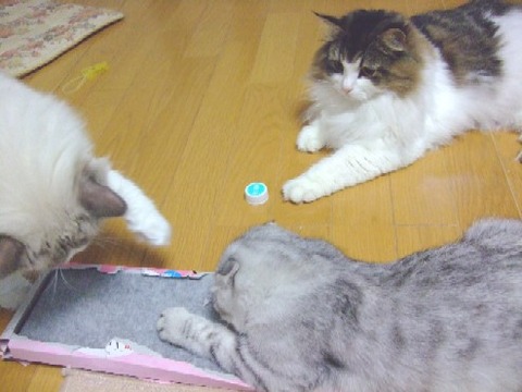 20070620145102