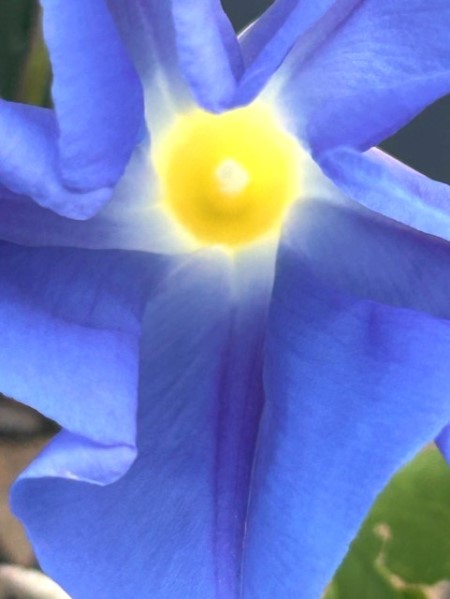 thumbnail_IMG_3817 (1)