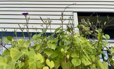 thumbnail_IMG_3262 (1)