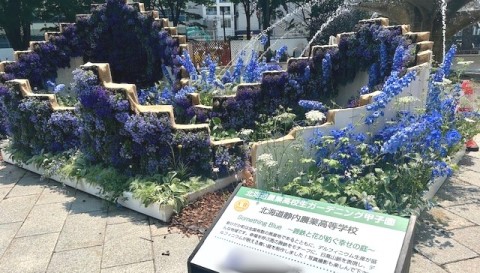thumbnail_IMG_8745 (1)