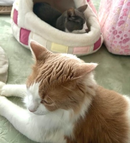 thumbnail_IMG_4759 (2)