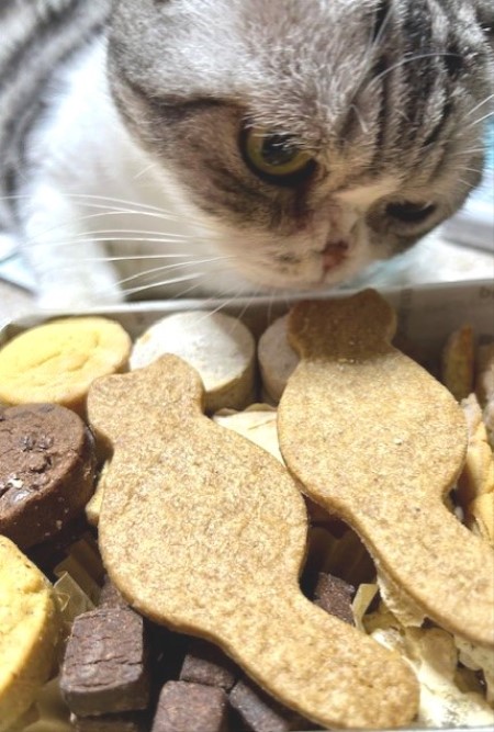 thumbnail_IMG_6942 (1)