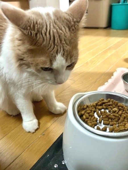 thumbnail_IMG_5238 (2)