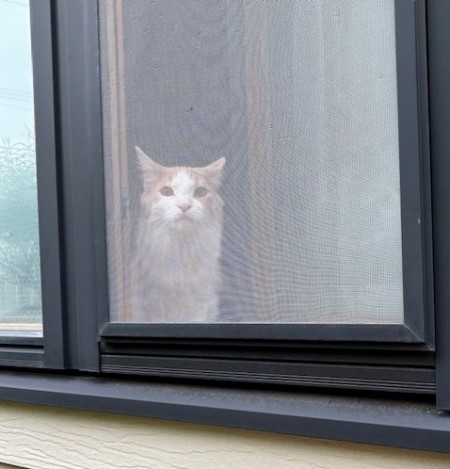 thumbnail_IMG_1332 (1)