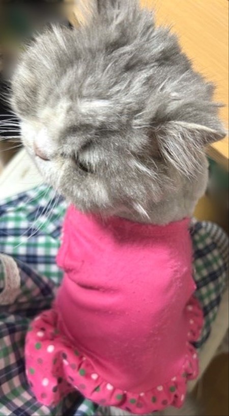 thumbnail_IMG_7209 (1)