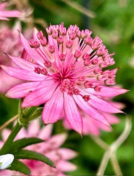thumbnail_IMG_7271