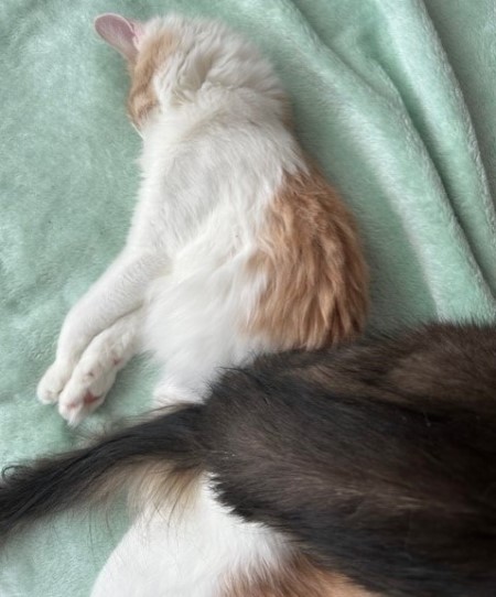 thumbnail_IMG_5994 (1)