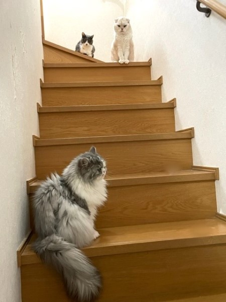 thumbnail_IMG_0218