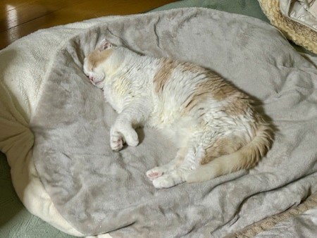 thumbnail_IMG_4356 (1)