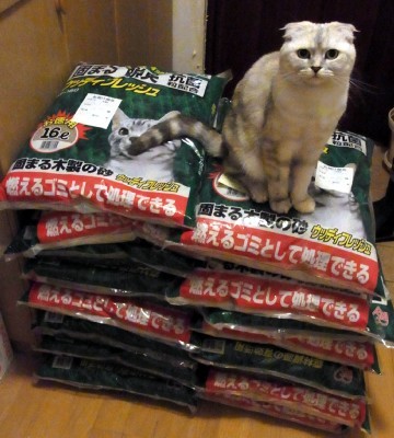 「猫だらけ」