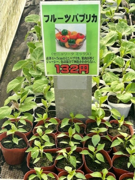 thumbnail_IMG_5351 (1)