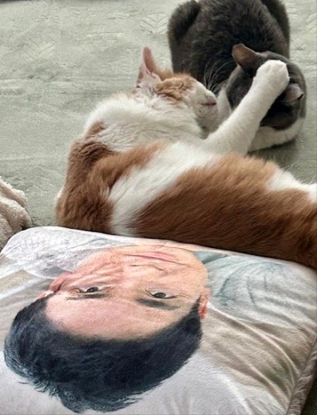 thumbnail_IMG_3924 (2)