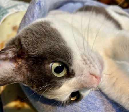 19d591ca-9742-48eb-a36e-adf17793cb0d