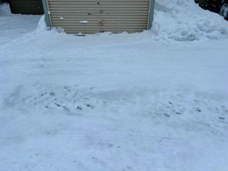 c082e46b-6b2a-483a-bdf1-83aaff52a339