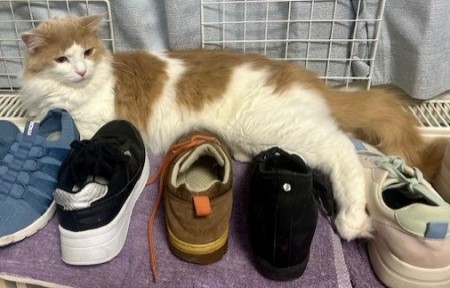 thumbnail_IMG_5208 (3)