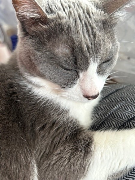 thumbnail_IMG_1225 (1)