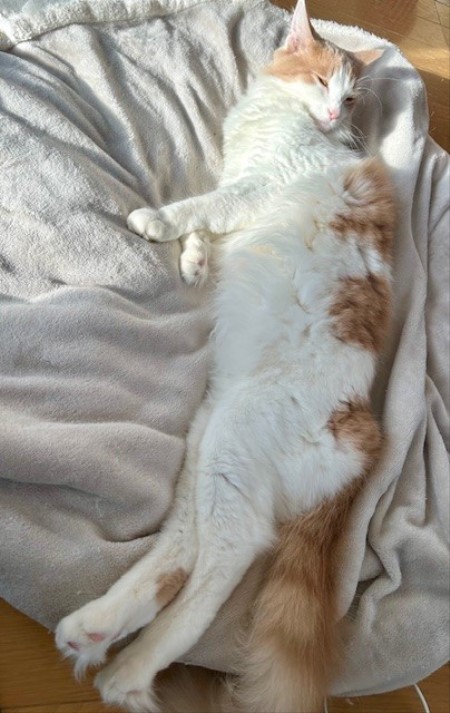 thumbnail_IMG_8765 (3)