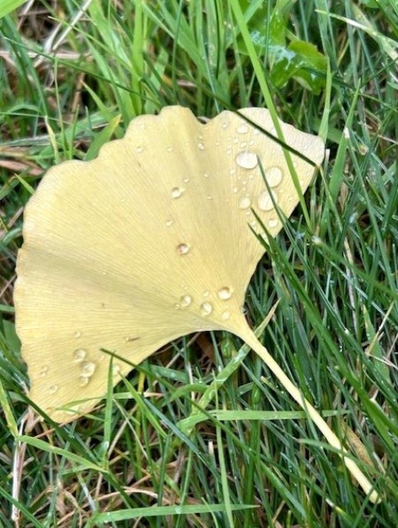 thumbnail_IMG_8409 (1)